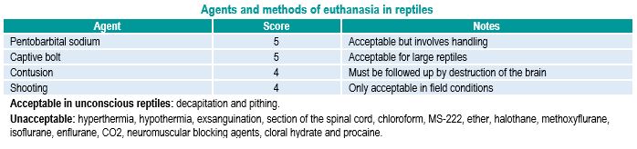 Euthanasia reptiles